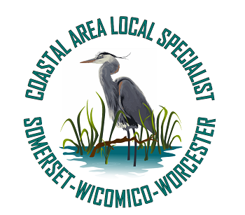 coastal area local specialist logo